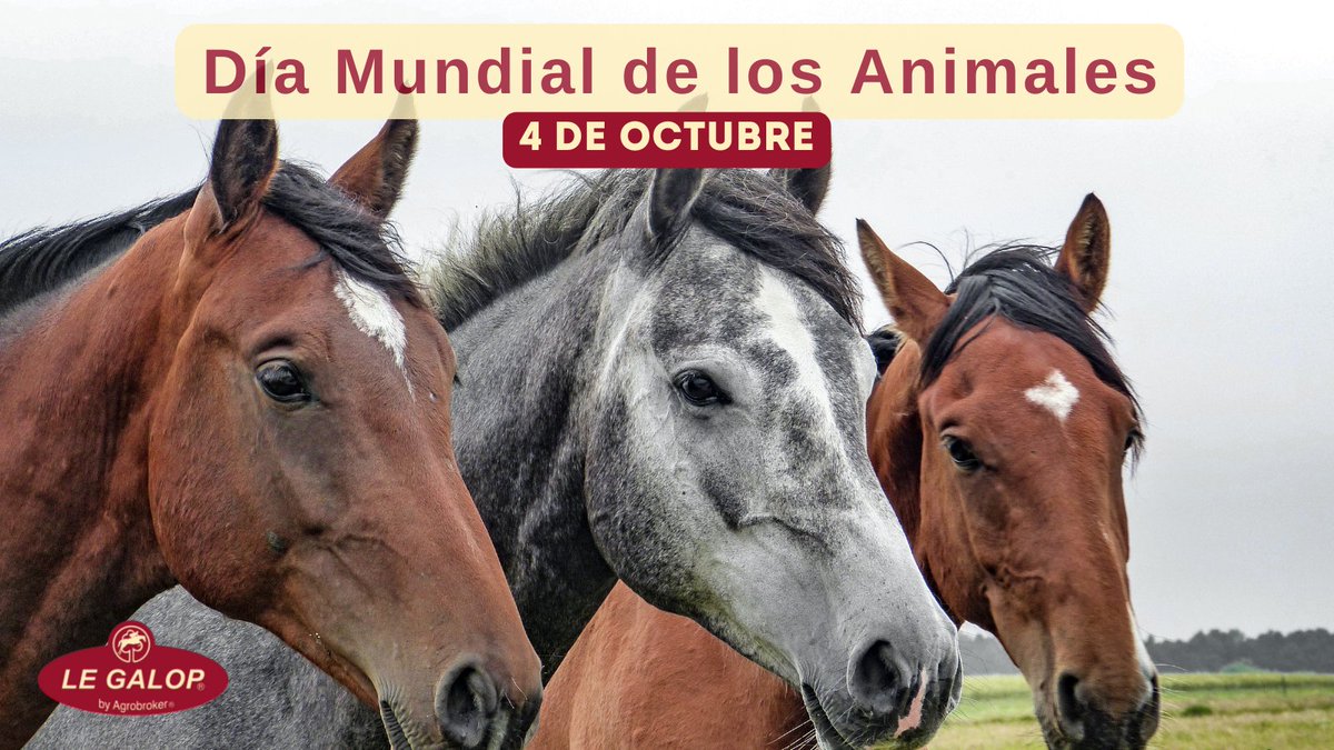 Agrobroker Antequera, S.L. tweet media