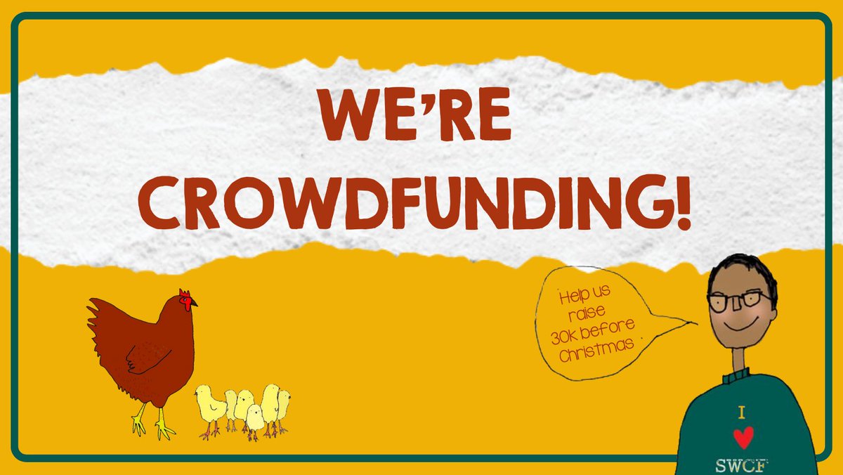 swcityfarm's tweet image. Today we've launched a Crowdfunder campaign with the aim of raising £30,000. Please support out vital work by donating: crowdfunder.co.uk/p/swcityfarm
#YourFarm