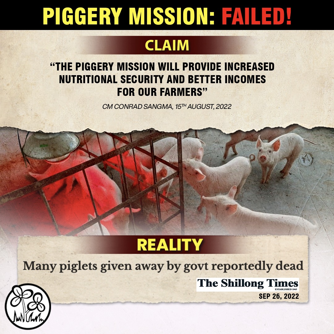 AITC4Meghalaya's tweet photo. Livestock farmers face LOSSES amidst MDA Govt's POOR SCHEME IMPLEMENTATION!

Diseased piglets offered to farmers died soon after distribution. 

MDA Govt,
Your IRRESPONSIBLE ATTITUDE towards farmers' livelihoods is concerning.

‼️Farmers' wellbeing MUST be a top priority‼️ https://t.co/HUGc4RHiAn