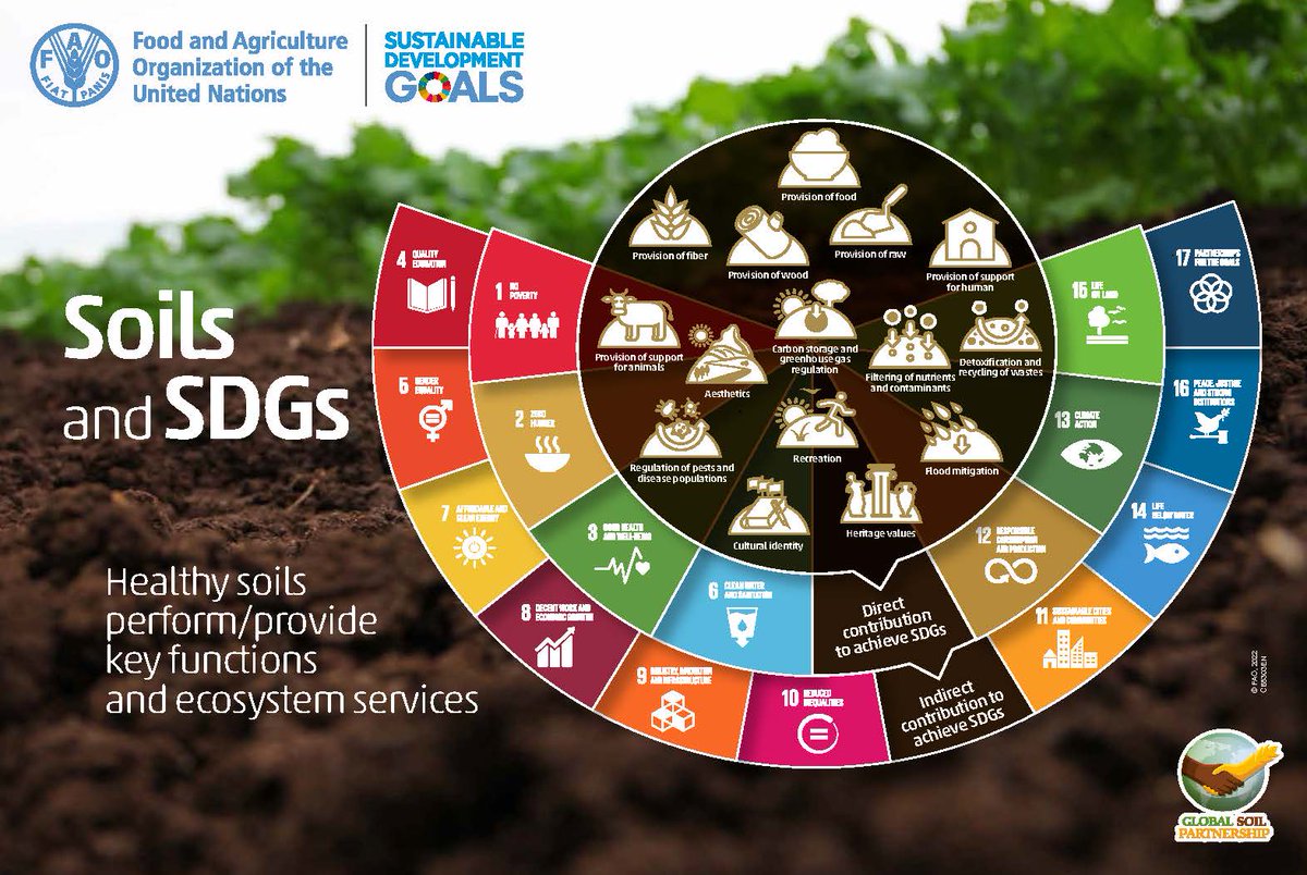 🚨 The world is falling behind on achieving Sustainable Development Goals. 

🌱 Land restoration offers a holistic solution. It brings #soil back to life to address #climate and #biodiversity crises, while supporting #foodsecurity + job creation.  

📸: <a href="/FAO/">Food and Agriculture Organization</a> #SDGs #UNited4Land