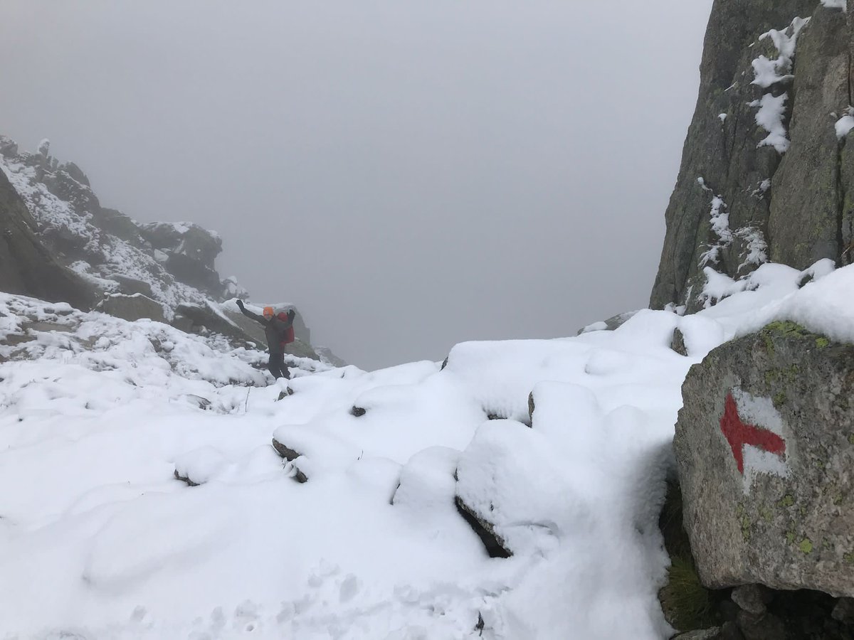 Ian Wickham tweet media