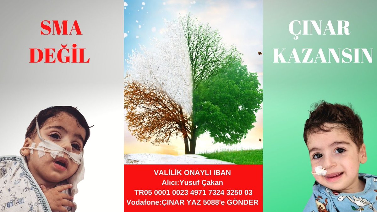 BetulDestek's tweet photo. @smatip1_cinar Bir bebek parasızlık yüzünden ölmesin
Çınar bizim ülkemizin evladı, bizim evladımız
Hep birlikte bir paylaşım, küçük bir bağışla onu yaşatalım.

#ÇınaraHayatOl #pazartesi #bagcilar #izlemeyin #Uyusturucu #ahaber Brent #millitakim #IranProtests https://t.co/FweZ4c6Hqi