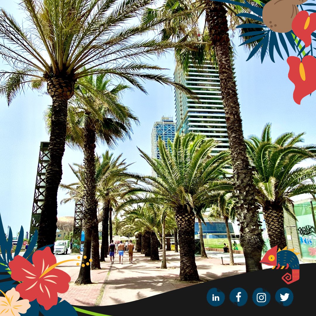 FMProjet tweet media