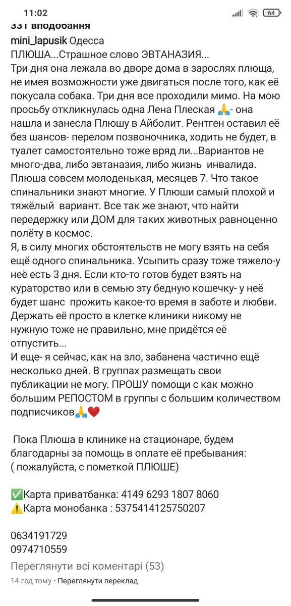 hhoney_pie's tweet photo. ОДЕСА‼️
терміново, заберіть до себе кицю https://t.co/Ee1TI4zW9k