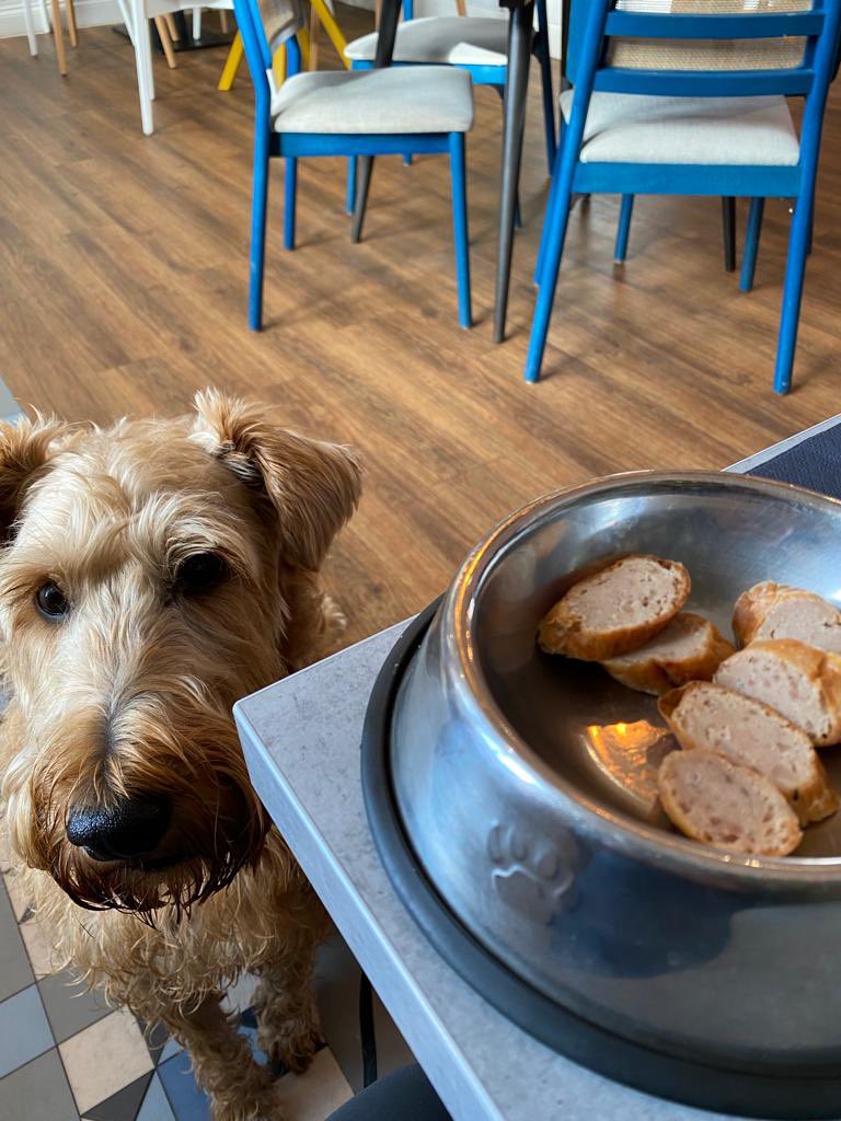 Hi furpals this hooman restaurant does doggy snossages! 👏👍🐕🐾
