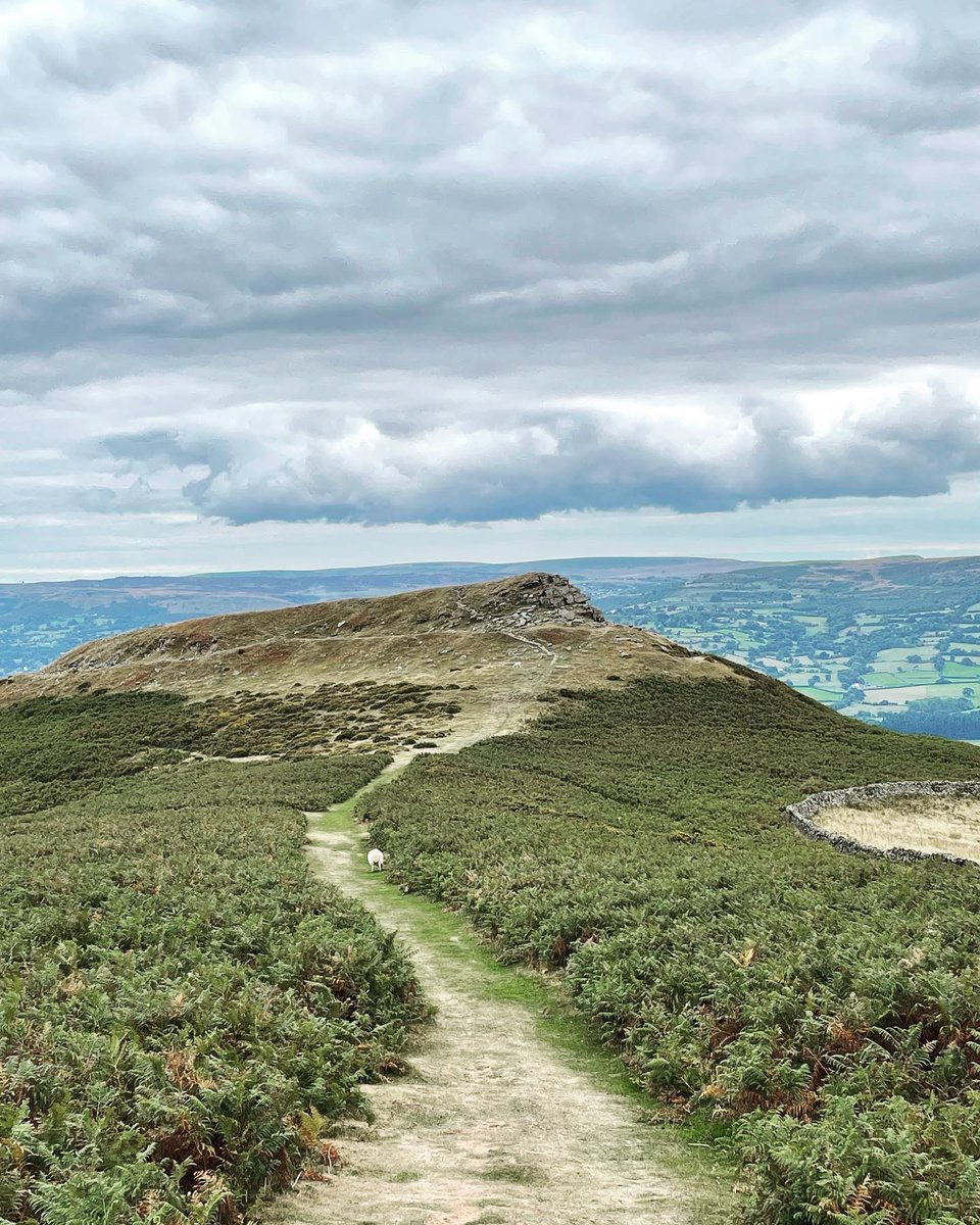 HeritageHiker's tweet photo. Lovely day yesterday in the Black Mountains looking at the #prehistoric &amp; #historic landscape for @mtntraining #walk leaders. Special to meet   @walkthebeacons John Sampson Memorial Walk as part of 30 year celebrations especially as we used the #beaconsway as part of the day. https://t.co/EAgTZFfBPX