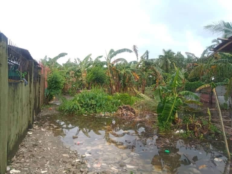cdrc1984's tweet photo. Aftermath of Super Typhoon Karding (I.N. Noru) in Dalahican, Infanta, Quezon

📸| Southern Tagalog People's Response Center, Inc. (STPRC) https://t.co/vB1vtvj9IW