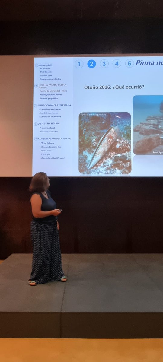 BalearsNatura's tweet photo. 🐚El centre de visitants del #PNCabrera ha acollit, aquest cap de setmana, una conferència sobre la nacra amb la col·laboració de @obsdelmar 

🌊Els i les assistents han conegut més sobre l'espècie endèmica de la Mediterrània i els estudis vigents per ajudar a conservar-la https://t.co/8ScEQNVOoc