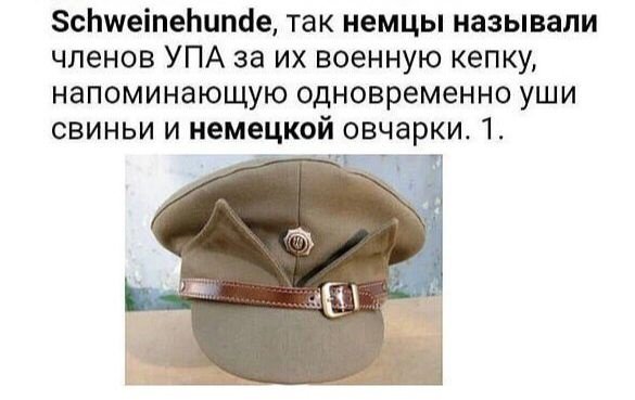 ZBryuzga's tweet photo. Чубатые, а вам я напоминаю, что свинособаки - это вы. Так уж вас назвали немецкие хозяева. https://t.co/dKjtEaJDp4