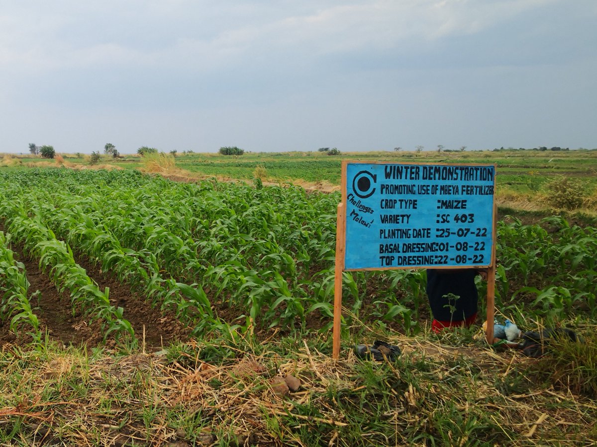 Challenges_MW's tweet photo. The past week we had visitors from @ChallengesGroup who came to check on the crops project that challenges Malawi is working on. 
Escorted by the challenges Malawi country director, Philip Chidawati  and his team.
#cropsproject #SGvisit #smartfarming #value_addition https://t.co/krP1mjc3Nl