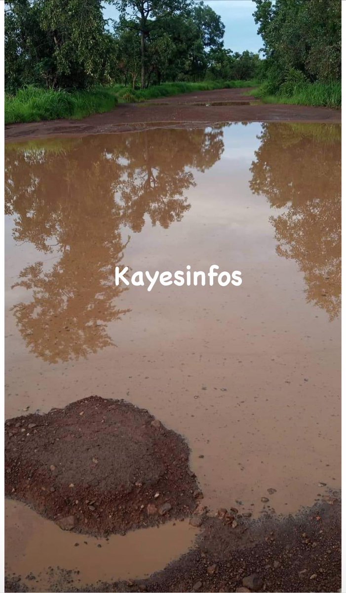 konate90's tweet photo. #RouteKayes : ici le tronçon Sadiola - Kenièba
Cp : KayesInfos
#RN1 #Bèki_Takè https://t.co/ppprpQEBwN