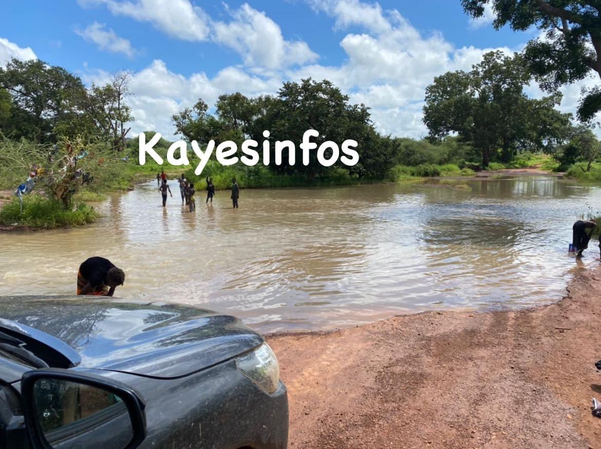 konate90's tweet photo. #RouteKayes : ici le tronçon Sadiola - Kenièba
Cp : KayesInfos
#RN1 #Bèki_Takè https://t.co/ppprpQEBwN