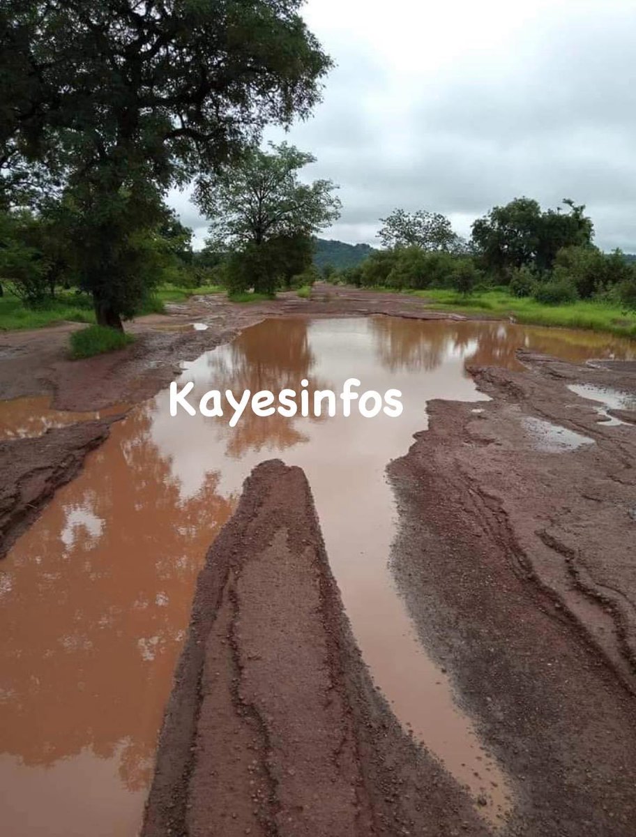konate90's tweet photo. #RouteKayes : ici le tronçon Sadiola - Kenièba
Cp : KayesInfos
#RN1 #Bèki_Takè https://t.co/ppprpQEBwN