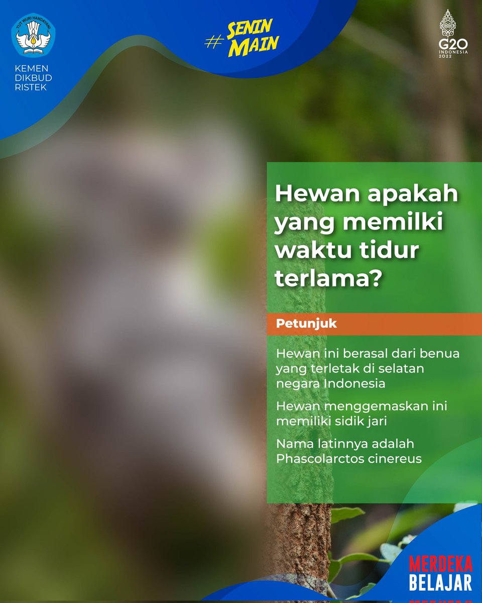 Kemdikdasmen's tweet photo. #SahabatDikbud, coba tebak, hewan apa yang memiliki waktu tidur terlama? Petunjuknya ada di bawah, ya. Jangan lupa bagikan jawabanmu!
#MerdekaBelajar #SeninMain https://t.co/STe3jXuY40