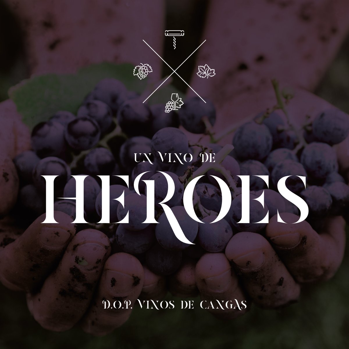 ProductosDeAsturias tweet media