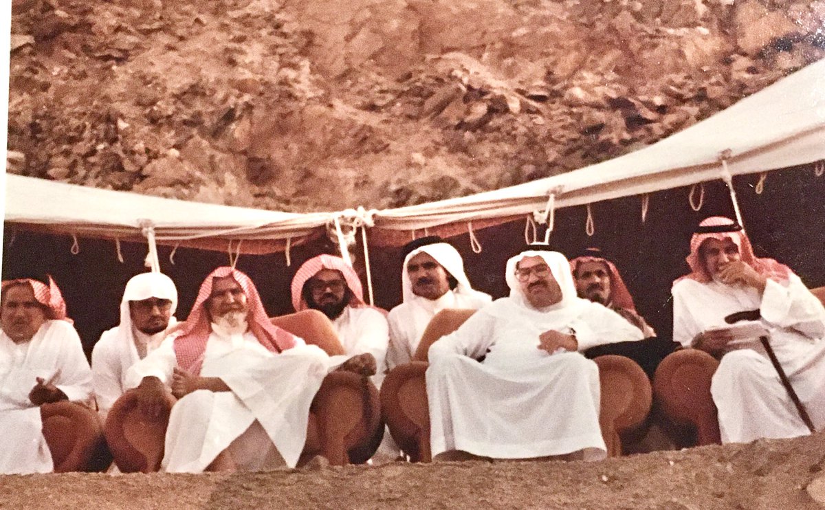 Alshareef Stable tweet media