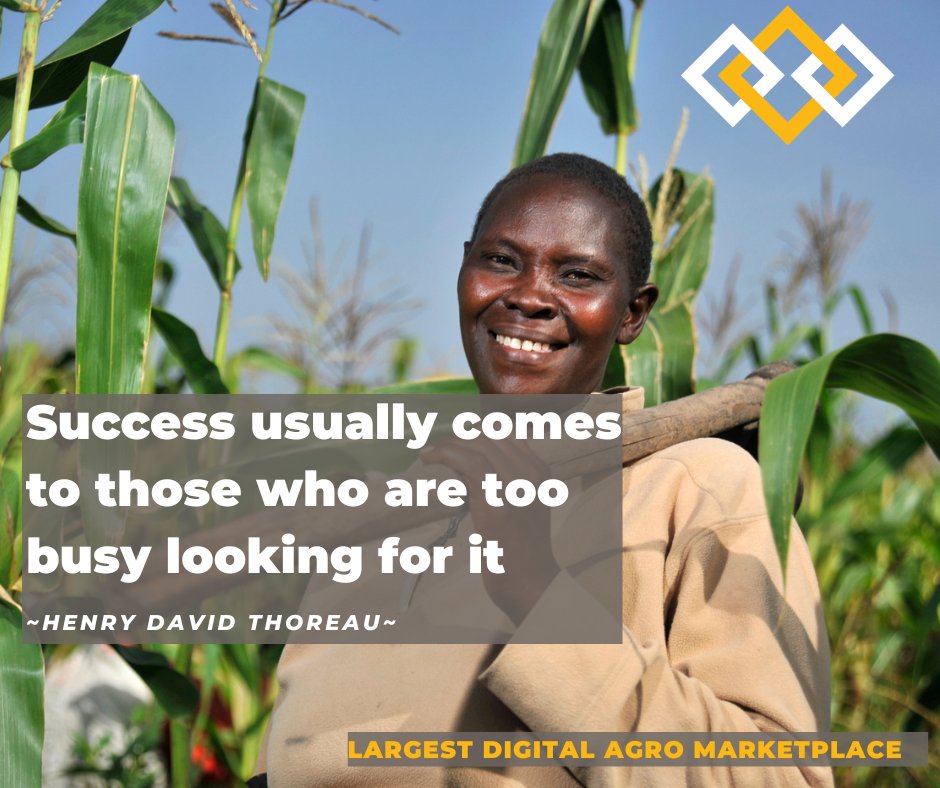Inputi Limited (@inputiinc) on Twitter photo Nothing in the world can take the place of persistence, but in everything you’re doing for a successful week, remember that <a href="/InputiINC/">Inputi Limited</a> is your go-to marketplace for all genuine and affordable farm inputs. Simply dial *284*68# and we will deliver to your farm gate. Nothing in the world can take the place of persistence, but in everything you’re doing for a successful week, remember that <a href="/InputiINC/">Inputi Limited</a> is your go-to marketplace for all genuine and affordable farm inputs. Simply dial *284*68# and we will deliver to your farm gate.