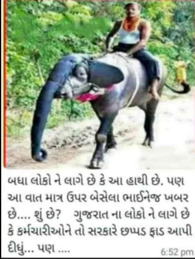 सोते हुएको उठाया जा सकता है लेकिन जो सोनेका नाटक कर रहा हो वह कभी नहीं जागेगा।
क्या सोचे थे 
नही आयेंगे वापस
जब तोड़ेंगे नही
तब तक छोड़ेंगे नहीं
#OnlyOPS
<a href="/CMOGuj/">CMO Gujarat</a>
<a href="/KanuDesai180/">Kanu Desai</a> 
<a href="/jitu_vaghani/">Jitu Vaghani</a> 
<a href="/ndtv/">NDTV</a> 
<a href="/ndtvindia/">NDTV India</a> 
<a href="/abpasmitatv/">ABP Asmita</a> 
<a href="/Divya_Bhaskar/">Divya Bhaskar</a> 
<a href="/VtvGujarati/">VTV Gujarati News and Beyond</a> 
<a href="/sandeshnews/">Sandesh</a> 
<a href="/Vivekdoza/">Vivekk Oza</a>