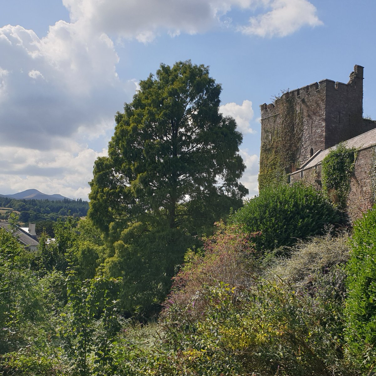 VisitBrecon tweet media