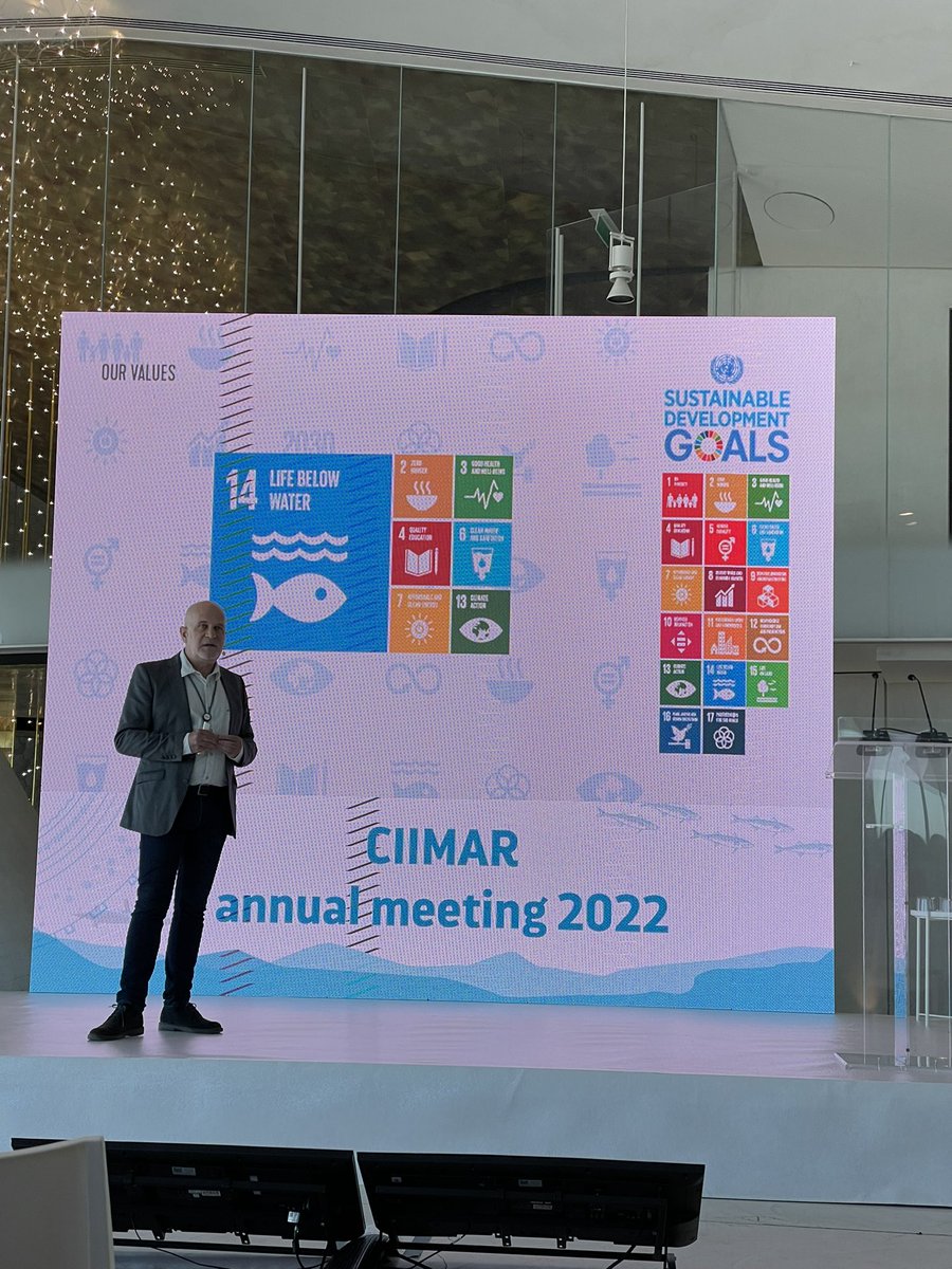 JoanaRXavier's tweet photo. After two years of Zoom, the @CiimarUp family meets in-person for its #CIIMARAnnualMeeting2022. A day to share science, ideas and build a common vision for a sustainable future on land and below water! 🙌 #SDGs https://t.co/TJGEJVztMS