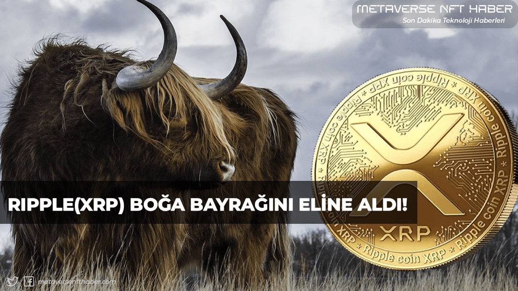 metanfthaber's tweet photo. RIPPLE (XRP) BOĞA BAYRAĞINI ELİNE ALDI!
Ayrıntılar -> https://t.co/LJYsEF001v
#kripto #Ripple https://t.co/lHgngskrzQ