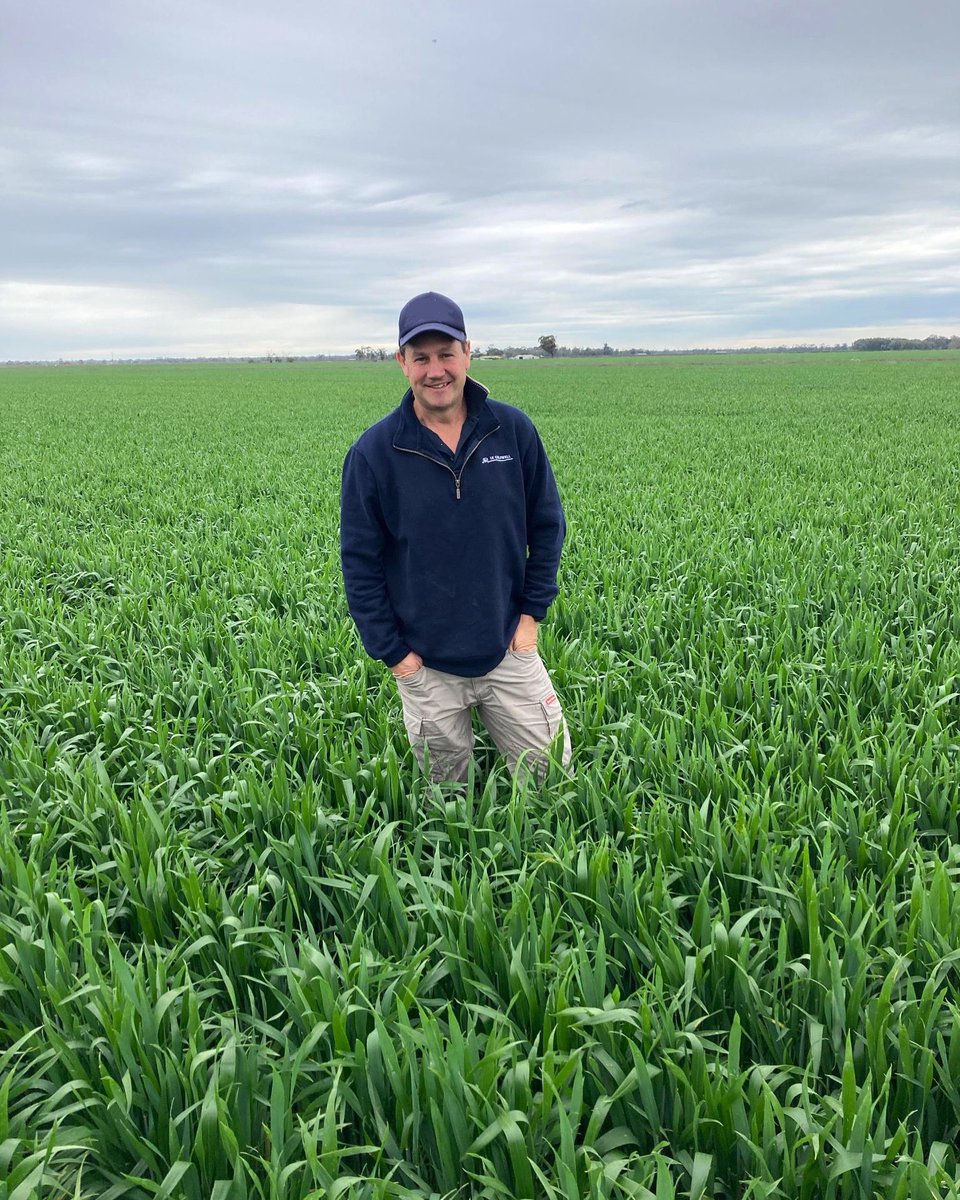 IKCaldwell's tweet photo. At Cobram this week for #knowyouragro!
Name: James Murray
Role in the Business: Broadacre Agronomist
Where do you work: Cobram Branch
How long have you been with the business: 20 years https://t.co/NPExLEbrZk