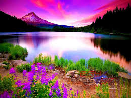 osse (@maichal14866260) on Twitter photo 