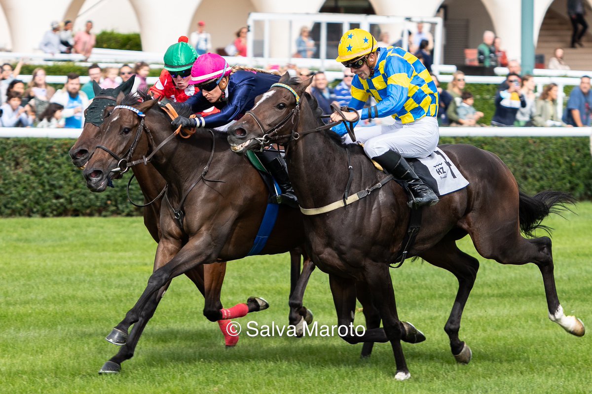 SalvaMaroto3's tweet photo. 25/09/2022 Premio Oktoberfest 

- 📍1500m 
- ⏱1’31”89
- 🌱Buena
- 🐴 FAMILY TRIP (57 kg)➡️ Al Wukair y Honeymoon Trip (Myboycharlie)
- @cristi_perez99 
- @racing_soto 
- Belén
- 🏠@HipodromoMadrid 
- Contacto 📧:
salvamarotosantos@gmail.com https://t.co/9GgTOUs62c