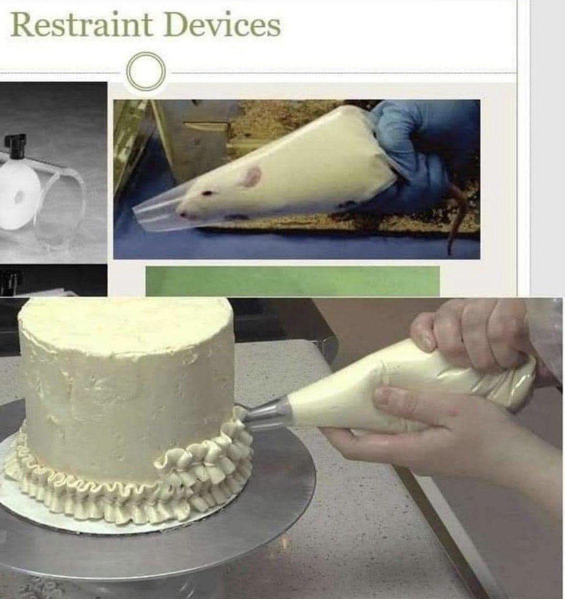 BioHackerBI's tweet image. Verbotene Sahne
Forbidden icing