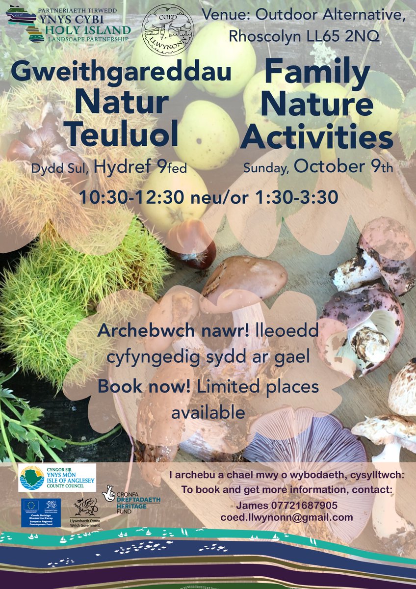 Places still available for children and families to learn about nature and take part in fun activities with Coed Llwynonn at Rhoscolyn during October. To book, contact James on 07721687905. @cyngormon @HeritageFundUK @MonCFAnglesey @Wild_Elements