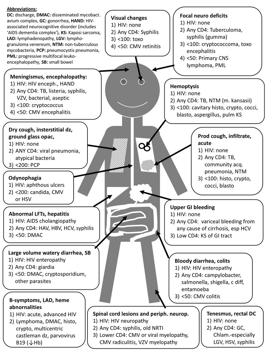 Opportunistic infections in HIV/AIDS <a href="/serotavirus/">David Serota</a> #BJHM #HIV #IDtwitter #MedEd #Medtwitter