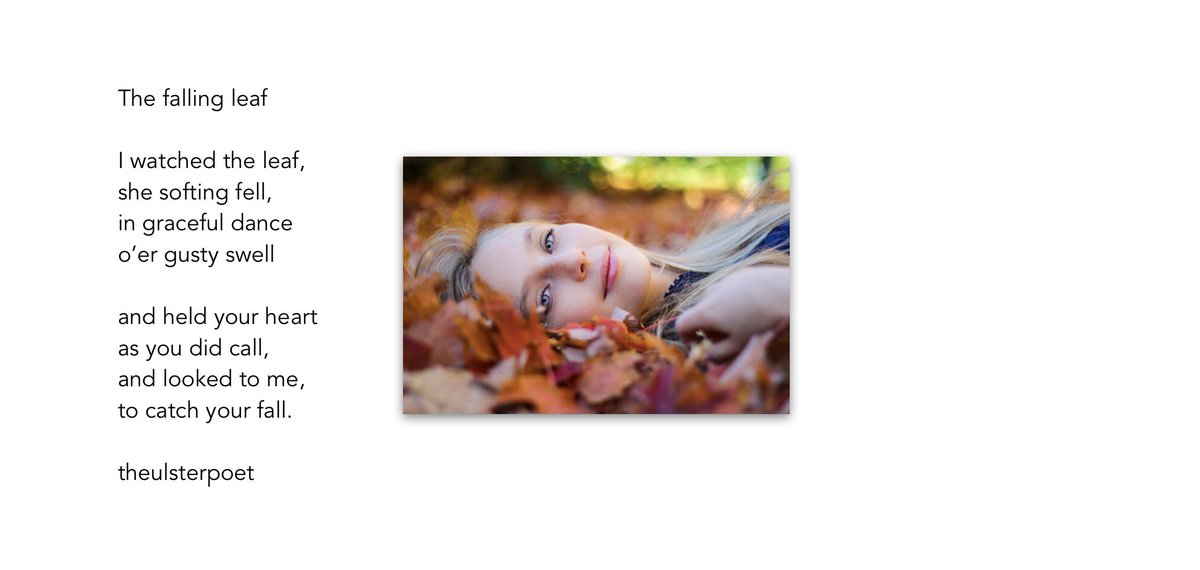 Ulsterpoet's tweet photo. A little Autumneeee this morning 🍁🍂 …I am sure good things will happen if you catch a falling leaf 😀
#Autumn #poem #falling #leaves #ToAutumn https://t.co/uPjbUZQ4eR