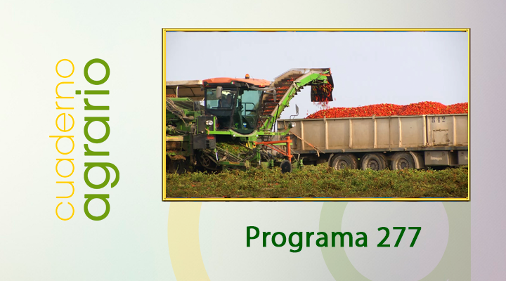 CuadernoAgrario's tweet photo. 📺¿ Te has perdido este fin de semana #CuadernoAgrario277 con @CrisSaancheez ?
😊No te preocupes, aquí puedes verlo➡️https://t.co/jweuCDqAbo
👉🏻 @COAGSevilla @COAGANDALUCIA @IfapaJunta #Intermalta @EuroChemGroup @OleandCoop @ETSIAMCordoba @Arahalcomunica @SerraniaSuroest https://t.co/4qUkKjTMLH
