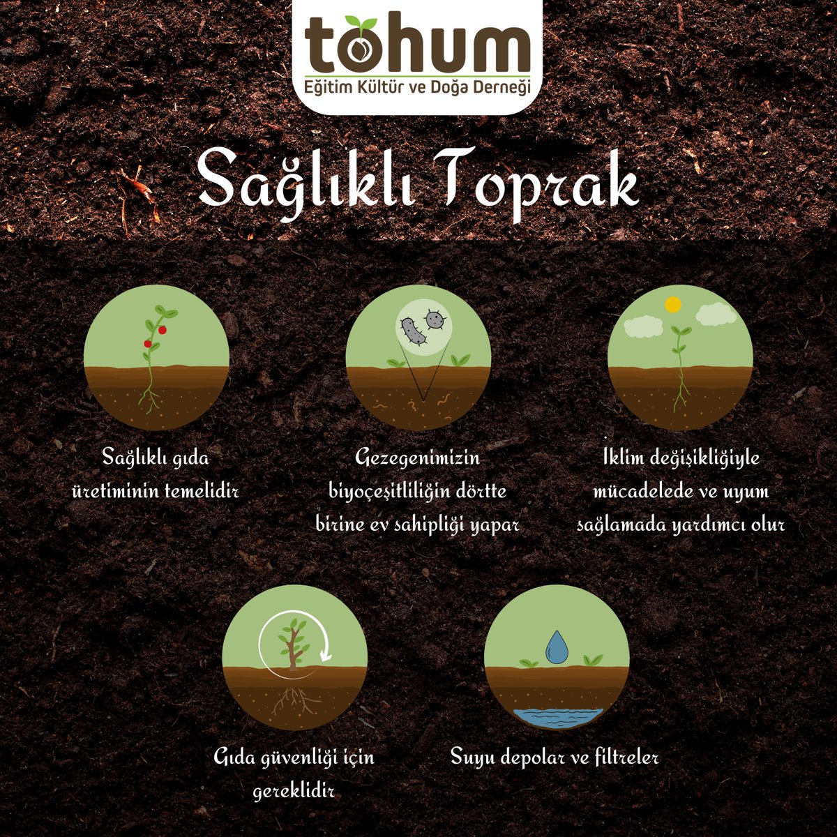 Üzerinde yürüdüğümüz toprağın düşündüğünüzden çok daha değerli olduğunu #biliyormuydunuz❓

İşte sağlıklı bir toprağın faydaları hakkında ilgi çekici 5 bilgi ☝️

En çok ilginizi çeken özelliği yorumlarda bizimle paylaşabilirsiniz 🌱

#Soils4Nutrition #SaveSoil #tohum #doğa #soil