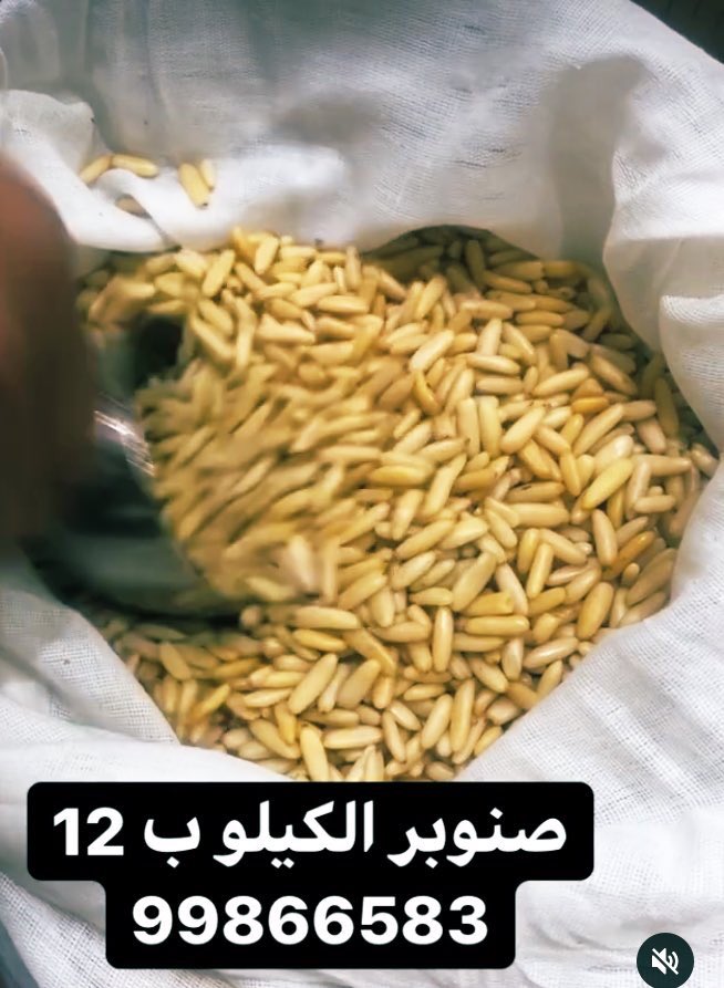 mrtq8's tweet photo. اطلب طلبك من موقع منتجات البيت الكويتي الفاخره 🇰🇼

يمكنكم الطلب الأن 

https://t.co/Ilg21fZWtE

- قهوه و تمر 
- مكسرات 
- بهارات فريش درجه اولي مشروطه
- زيت زيتون فلسطيني اصلي 
- معابيج و أجارات كويتية 
_ معاميل  
 #عبيد
للتواصل 
99866583 - 50061600 -
https://t.co/2F7NZOrAHx https://t.co/WjdhkaWQDU