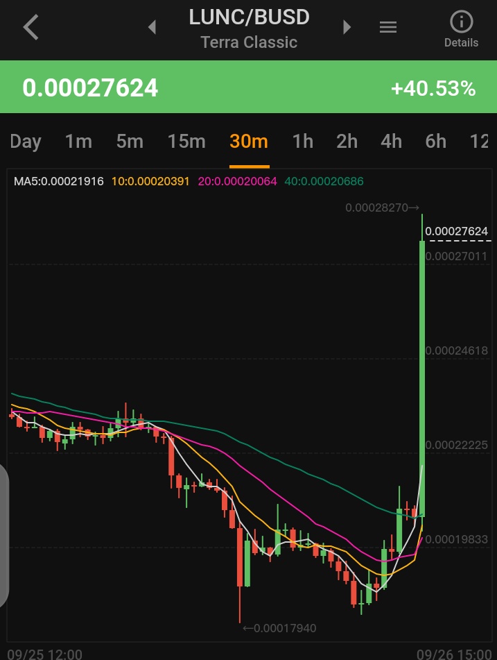 DING DONG 

$LUNC Community