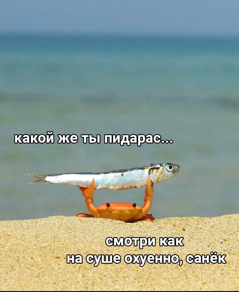 Вам мем