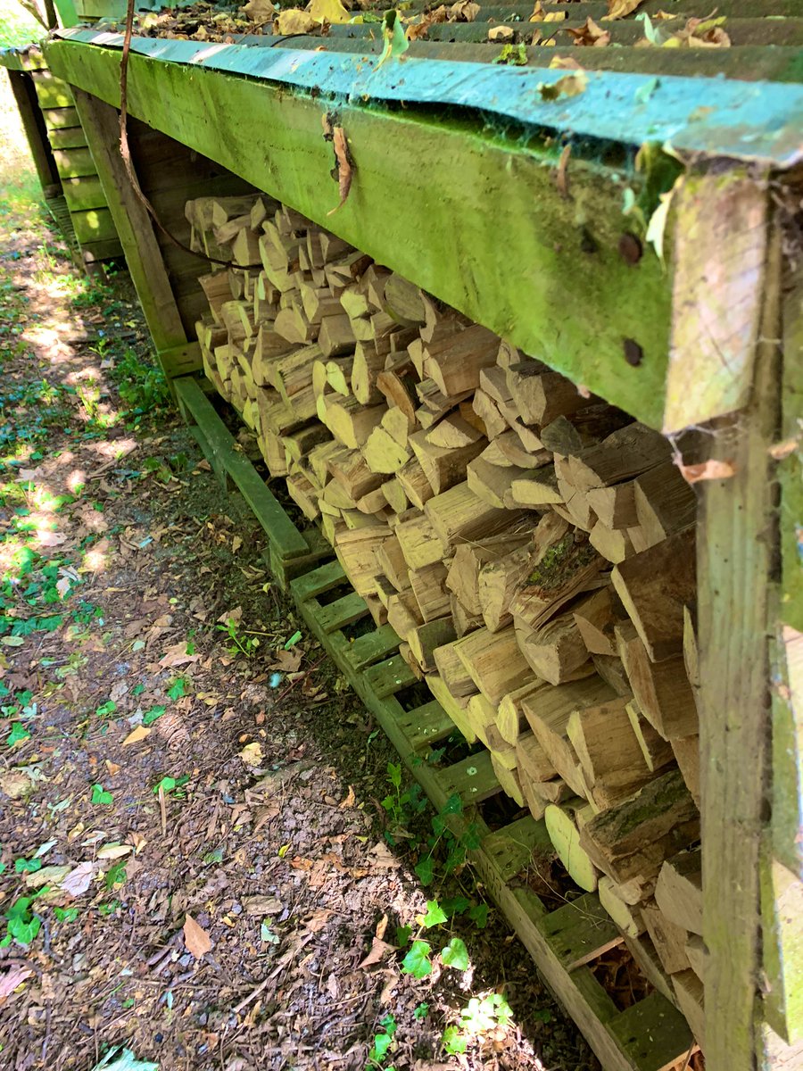 GraceLSDavidson's tweet photo. Trying to avoid putting the heating on until at least after 1/2 term. #Fires 🔥 & #Jumpers #NoHeating #Logs #LogDelivery #StackingLogs #BexwelFarmLogs 🪵 🪵 https://t.co/FtoNMEXB2W