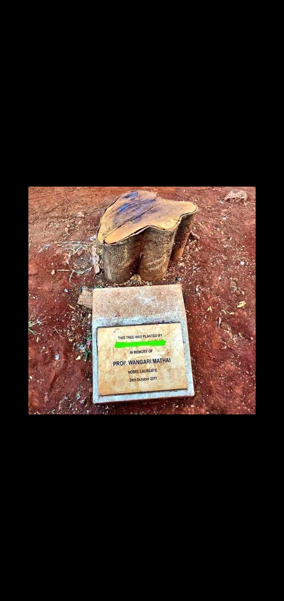 _Warigia_'s tweet photo. Symbolism at it's best. We are destroying our ecosystem only to cause more global warming. I refuse to partake in this. I chose green energy. I chose affordable fuel. I chose MakaaDotcom.
@MakaaDotcom 
@NakuruWater https://t.co/14YxTz1Tlg