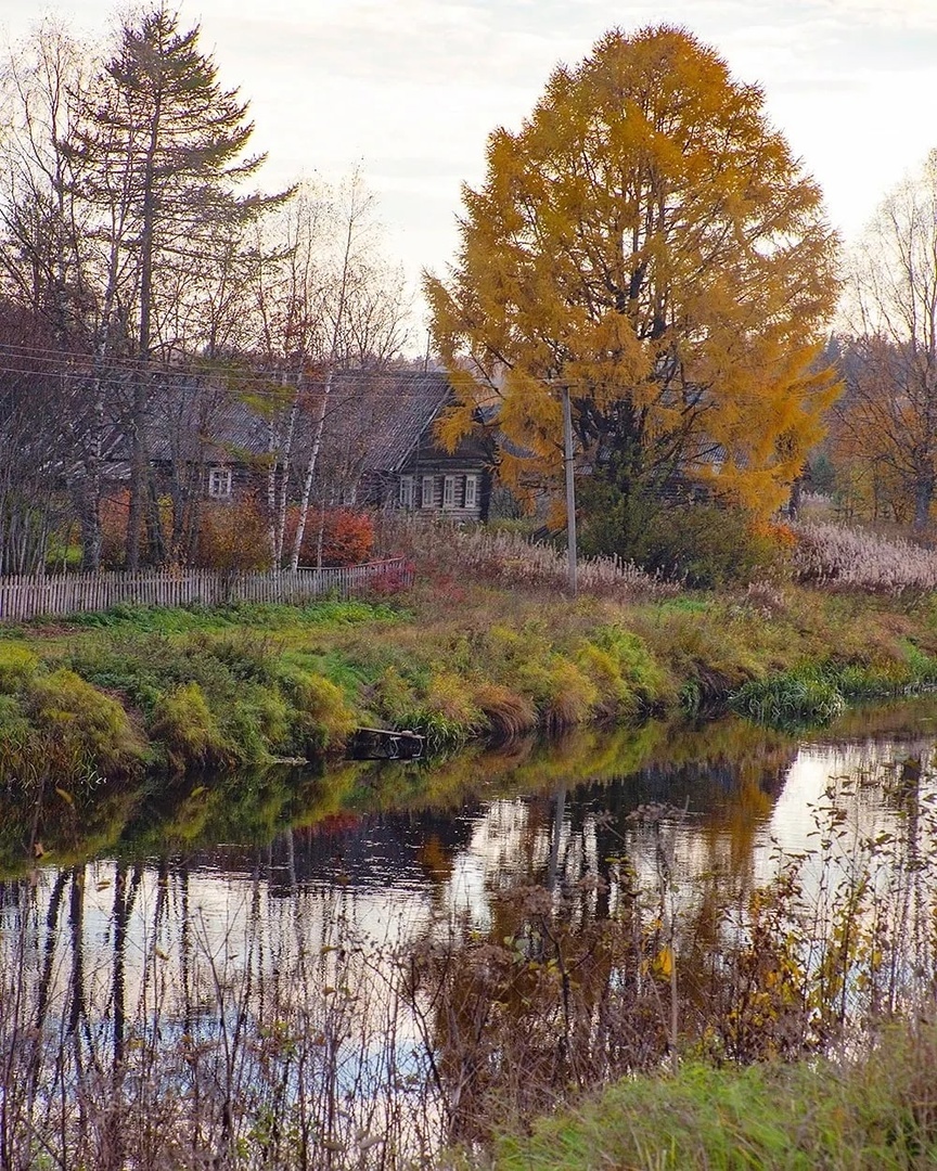 Осенний фотоконкурс