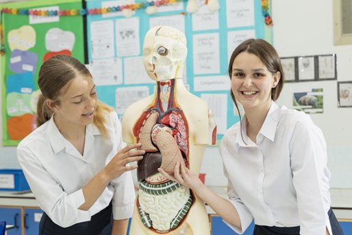 Davison C.E. High School for Girls tweet media