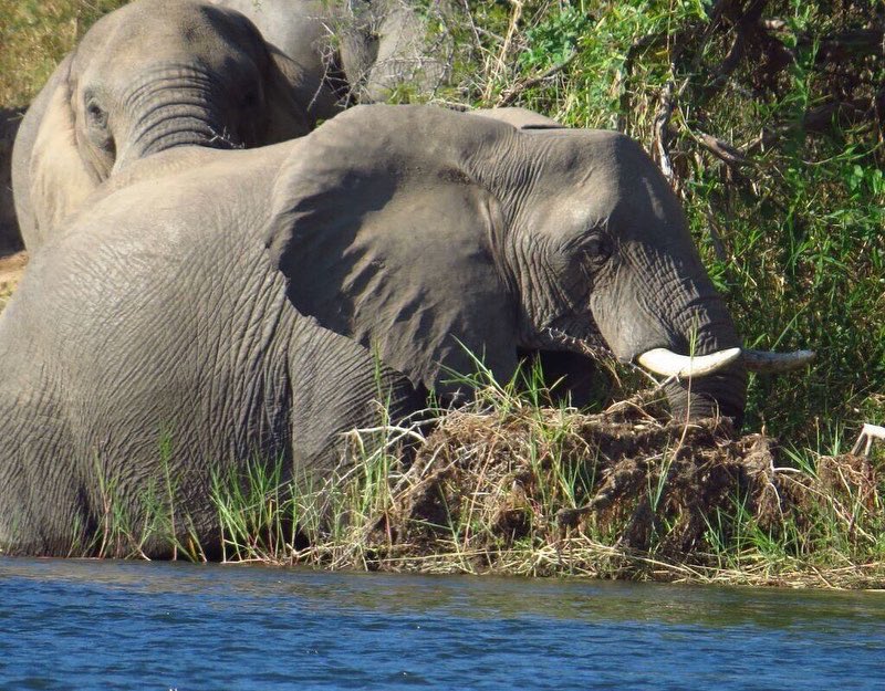 Mack Air tweet media