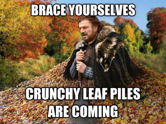 NorthlandRadio2's tweet photo. Who else is ready for this? #fallmemes #autumn #crunchyleaves #braceyourselvesmeme https://t.co/Uc3634hyrX