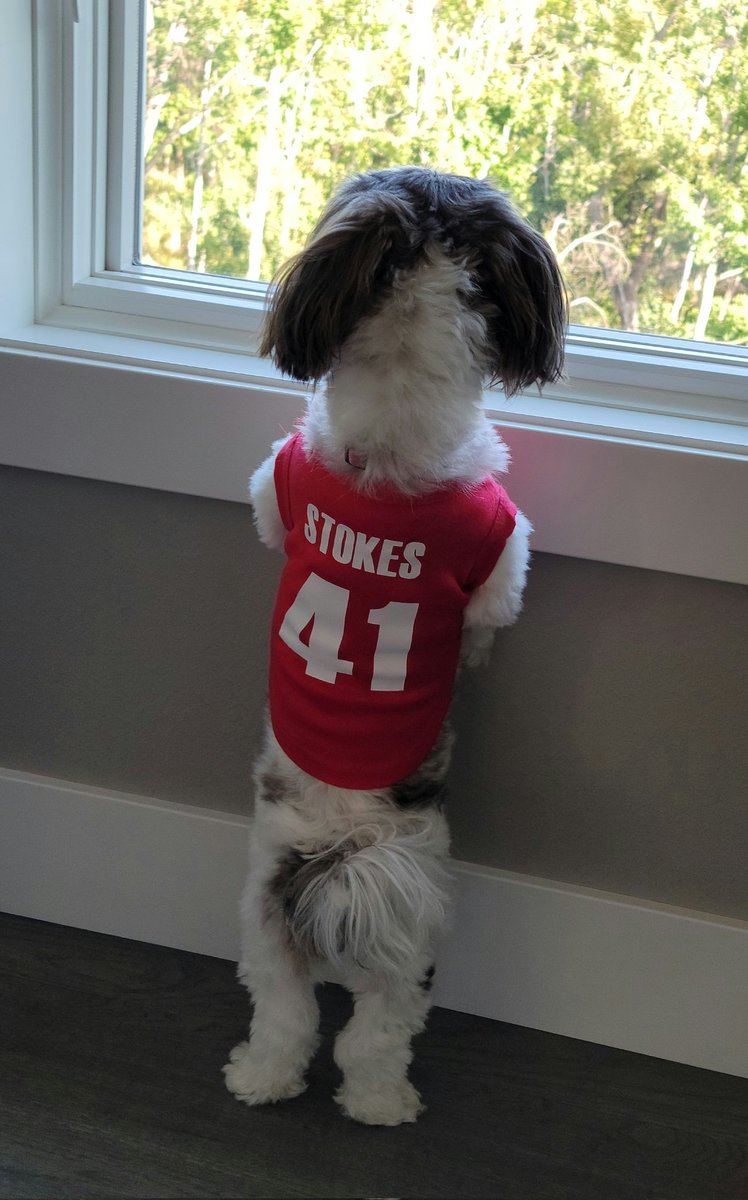 GStokes41's tweet photo. Little sister Chloe waiting for big sis @kstokes41 ...when big sis finally shows up! https://t.co/LslSKhj917
