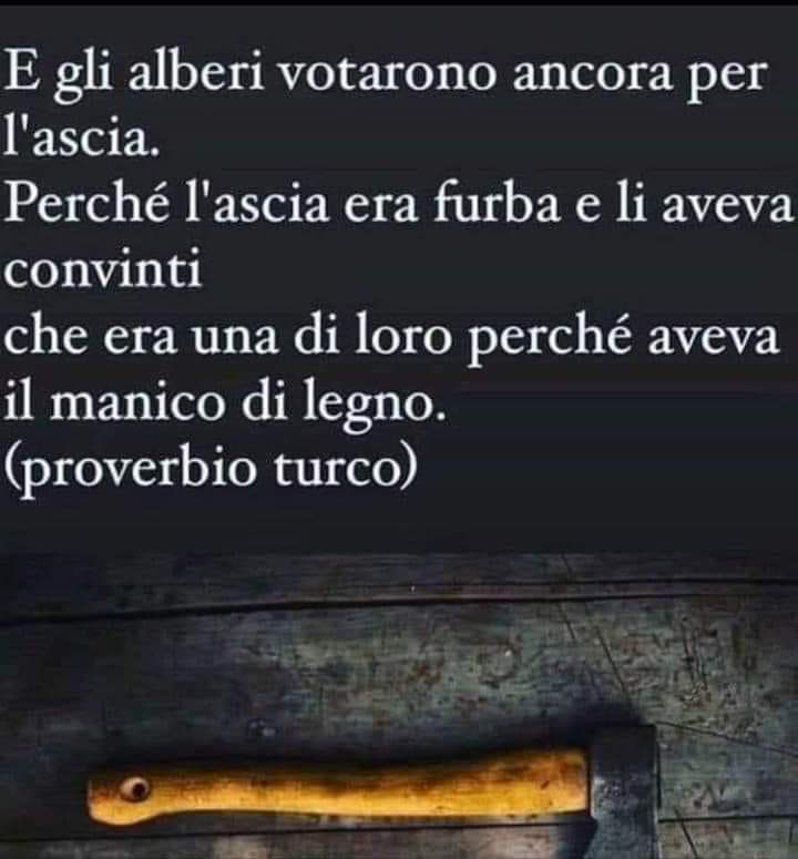 Stefano (@lzstefano) on Twitter photo 