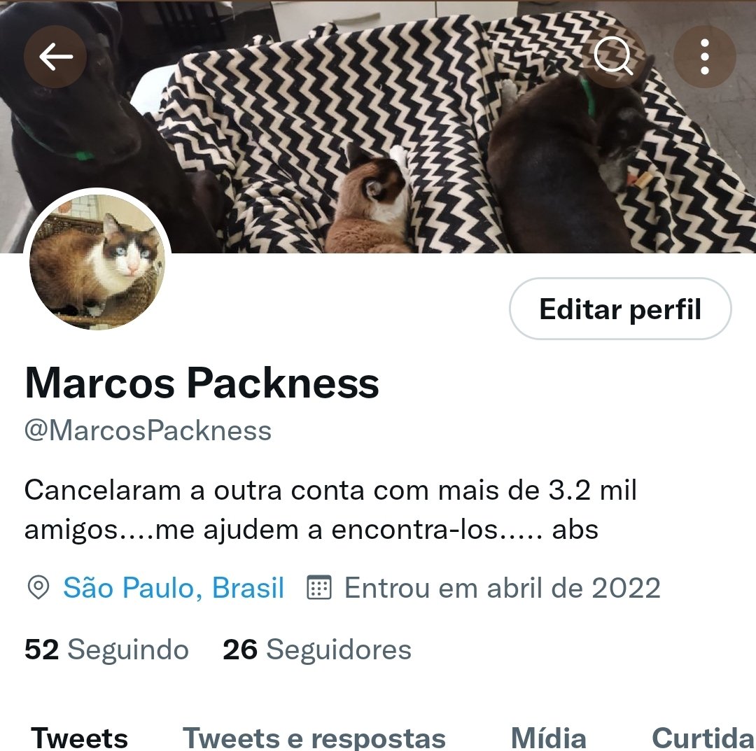 MarcosPackness's tweet photo. Oi pessoal, alguém no TT não gosta das minhas postagens em favor do @jairbolsonaro ... me cancelaram. Me ajudem a encontrar meus mais de 3.2 mil amigos.  Abs https://t.co/d0JVWIRuUA