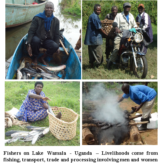african_lakes's tweet photo. Small-scale fishers produce 60% of fish and employ 90% of fishers globally but are often marginalized in development of fisheries and remain poor.  Join the discussion on empowering fishers to improve their livelihoods through inclusive governance, awareness, and action. https://t.co/x7FZWure2Q