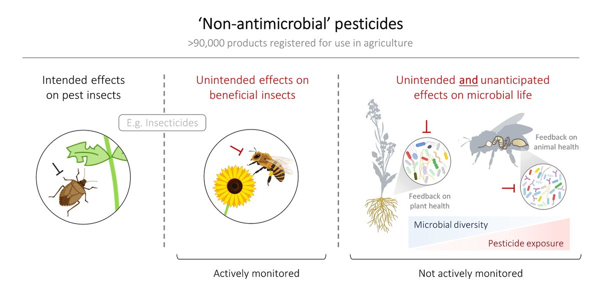 MicroResRep's tweet photo. 🫴Do you know about deteriorating #microbiomes in #agriculture - the unintended effects of #pesticides on #microbiallife?🎃
@EmmaAllenVercoe
🛶View this high-cited article to find answers:
https://t.co/XagPDdGZwU
#Microbiome, #hostmicrobeinteractions, #microbialevolution😍 https://t.co/gtLJT4YTAh