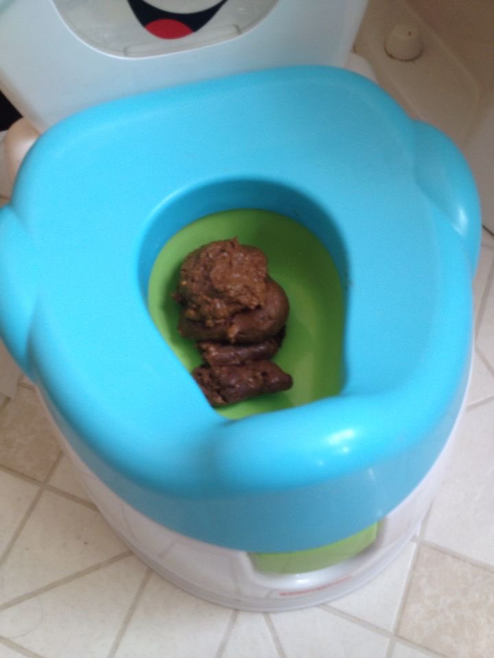 pinin mañanero, sin mas