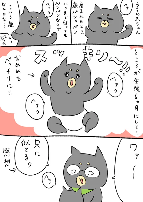 やっと兄弟似てきました! 